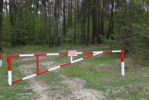В Берестовицком районе введен запрет на посещение лесов
