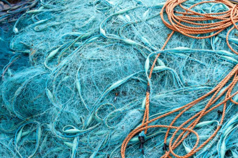 О добровольной выдаче рыболовных сетей и сетематериалов